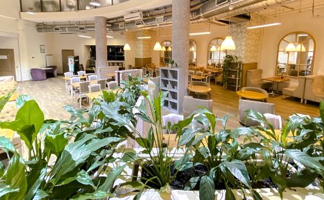 Арендовать Home cafe Veranda Светлый бар на Курской