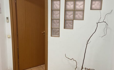 Арендовать Silogos