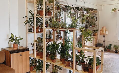 Арендовать Светлый лофт в кантри стиле