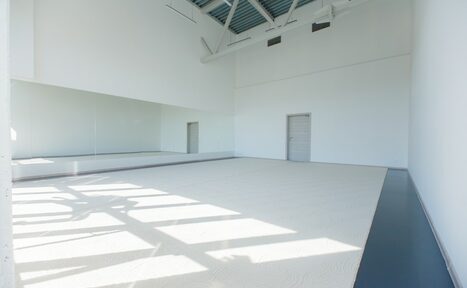 Арендовать Сеть студий гимнастики и танца Анны Серовой