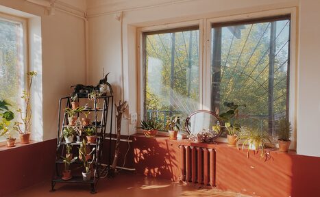 Арендовать Светлый лофт с растениями