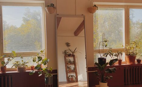 Арендовать Светлый лофт с растениями