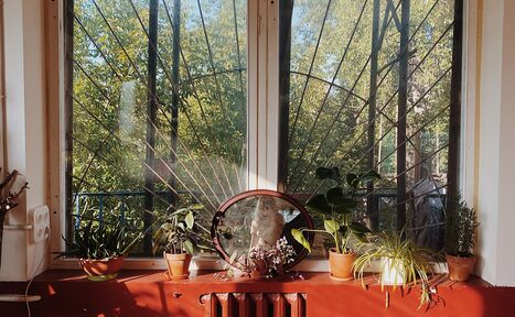 Арендовать Светлый лофт с растениями