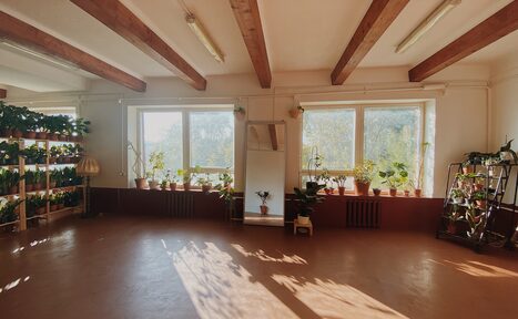 Арендовать Светлый лофт с растениями