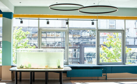 Арендовать Проект «Океаника» Пространство для детского праздника