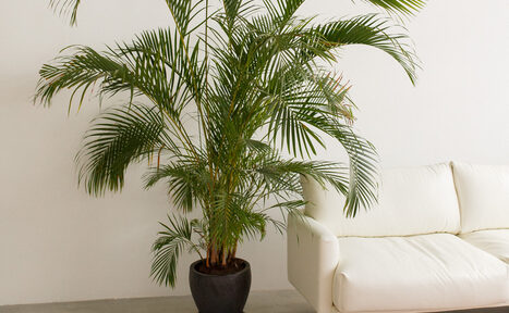 Арендовать Фотостудия BASE