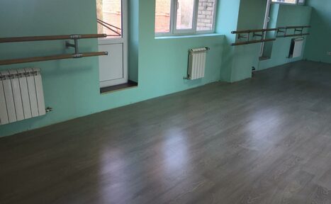 Арендовать Danex танцы для взрослых и детей