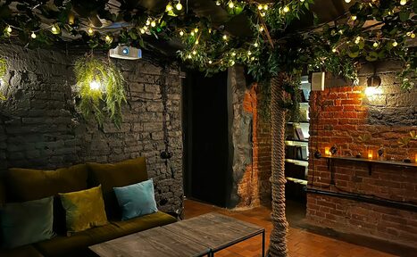 Арендовать Небольшая лофт-комната с растением 