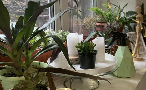 Арендовать Уютная студия для творческих встреч 