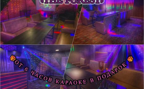 Арендовать Forest(Лес). Караоке-зал с диванами и столами, разноцветное светодиодное освещение, стены из кирпича и дерева, деревянный пол. Видны неоновые надписи и гирлянды. Текст: "THE FOREST", "от 6 часов караоке в подарок".