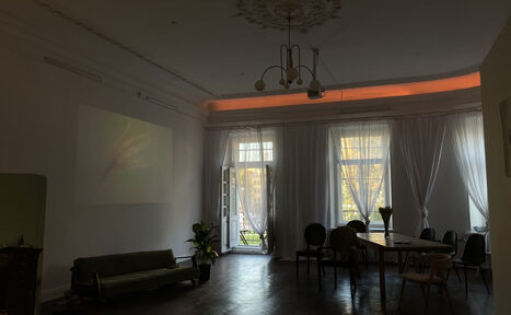 Арендовать 4SaintsPlace (4СэйнтсПлэйс). Авторский лофт с балконом и видом на реку