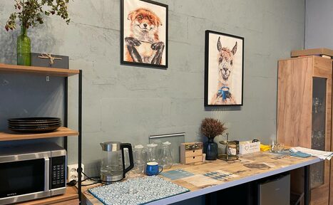 Арендовать Art loft Зонированное яркое пространство