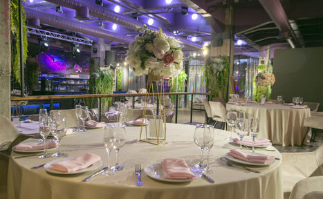 Арендовать Anima(Анима)