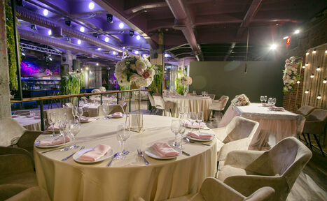 Арендовать Anima(Анима)