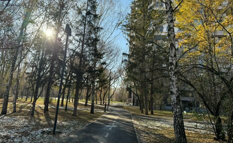 Арендовать Arcobaleno Loft(Аркобалено Лофт). Тротуар в парке, окружённый деревьями. На асфальте белая разметка. Освещение естественное с солнечным светом через деревья. Справа видна часть здания. На земле отсутствует значительное количество снега.