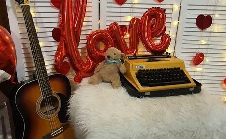 Арендовать Светлый зал 30 кв. м с естественным светом