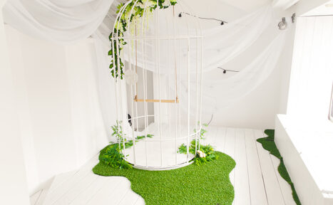 Арендовать Photo Safari Studio