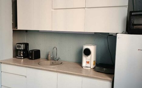 Арендовать Светлая мастерская в Шушарах 