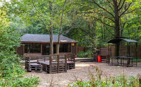 Арендовать Беседка на 25 гостей в парке Лосиный остров