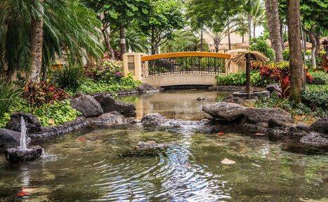 Арендовать Беседка для шашлыка в Бирюлёвском лесопарке