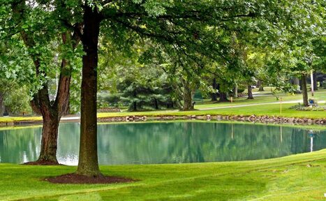 Арендовать Беседка с мангалом для шашлыка у озера