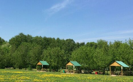 Арендовать Мангальные беседки на территории Парк Отель Куркино