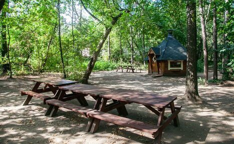 Арендовать Кемпинговая зона на Путяевских прудах парка Сокольники