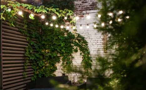 Арендовать Лофт со своим двориком. Открытое пространство с кирпичными стенами, покрытыми растениями. Струнные лампочки натянуты над зоной. Плетеная мебель темных цветов. Один угол имеет деревянную решётку. Освещение теплое, атмосфера уютная.
