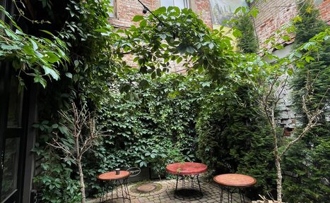 Арендовать Лофт со своим двориком. Уютный внутренний двор с кирпичными стенами, покрытыми зеленью. Три круглых деревянных стола на металлических ножках. Каменная мостовая с растущими вокруг кустами и деревьями. Верхнее естественное освещение.