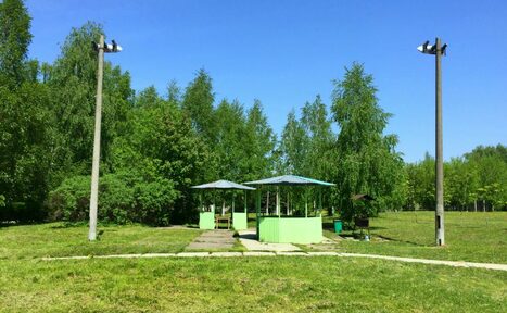 Арендовать Большая беседка на 30 человек в Парк Отель Куркино