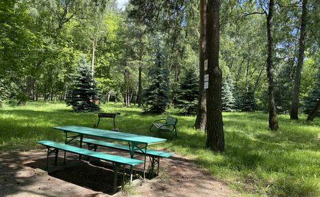 Арендовать Мангальная зона / барбекю на территории лечебно-оздоровитель