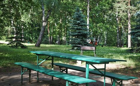 Арендовать Мангальная зона / барбекю на территории лечебно-оздоровитель