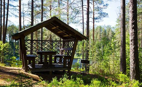 Арендовать Беседки на берегу в парке «Greenvald»