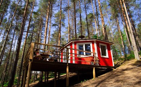 Арендовать Гриль домик «Greenvald» на 20 человек