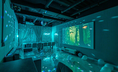 Арендовать Tiffany. Изысканный лофт с мебелью, светомузыкой и караоке