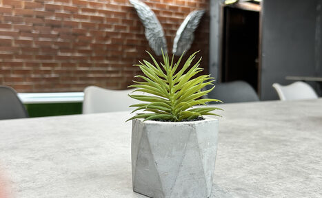 Арендовать Брутальный лофт с крыльями, как в Дубае