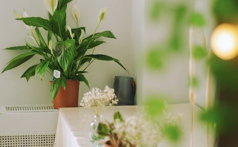 Арендовать Encanto Studio. Светлая студия с балконом