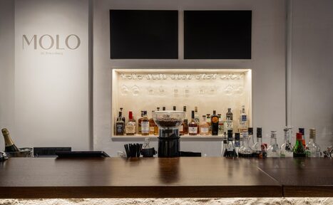 Арендовать Гастробар в бутик-отеле MOLO(Моло) 4