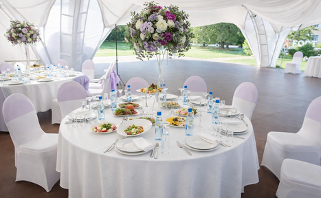 Арендовать Фореста. Шатер «Фестиваль» в Прохорово