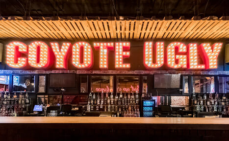 Арендовать Coyote Ugly Bar(Бар Уродливый койот). Аутентичный бар