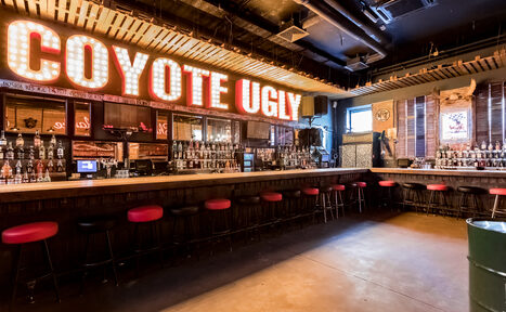 Арендовать Coyote Ugly Bar(Бар Уродливый койот). Аутентичный бар