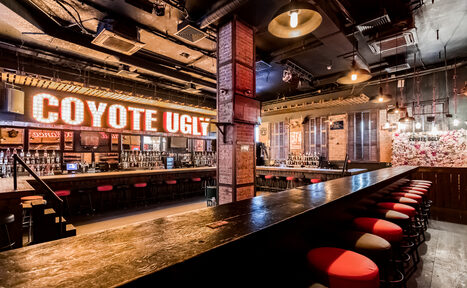 Арендовать Coyote Ugly Bar(Бар Уродливый койот). Аутентичный бар
