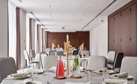 Арендовать Pana White(Пана Белый). Зал при отеле