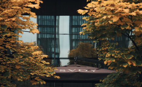 Арендовать SVOY(СВОЙ) ХАМОВНИКИ