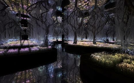 Арендовать Futurione(Футурио́не). Мистическое пространство со светящимися деревьями и травой, отражающимися в глянцевом полу. Освещение разноцветное, создающее атмосферу сказочного леса. Стены и потолок темные, без видимого декора.