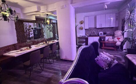 Арендовать ЛЕС БАР. Пространство с мягкой мебелью и обеденным столом, декорировано растениями. Просторная планировка включает зону кухни с белыми шкафами. Освещение потолочное и точечное, пол темного дерева. Игрушечный медведь в углу, подушки на диване.