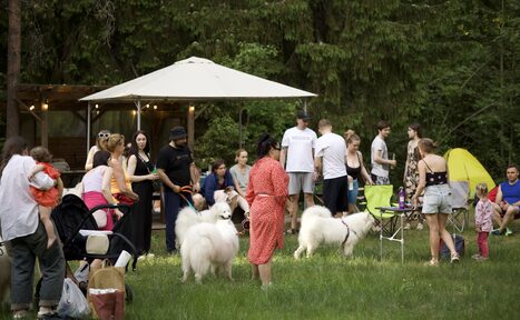 Арендовать Белый Пёс(WHITE DOG event). Открытое пространство в лесу, люди сидят и стоят на траве, белая палатка, раскладные стулья и стол, в окружении деревьев. На заднем плане желтая палатка. Собаки и дети на переднем плане.