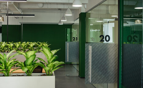 Арендовать Smart Coworking(Умный Коворкинг). Офисное пространство с прозрачными стеклянными перегородками и дверями, пронумерованными цифрами 20. Вдоль стен расположены кашпо с зелеными растениями. Потолочные светильники белого цвета. Доминируют зеленые и нейтральные тона.