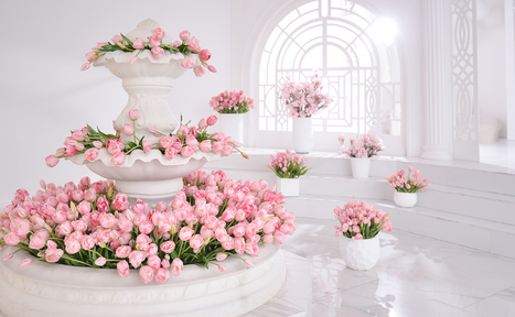 Арендовать Cross Studio. Зал Авалон