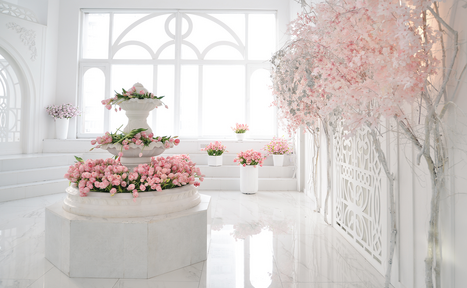 Арендовать Cross Studio. Зал Авалон